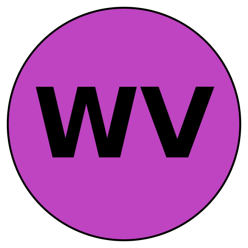 WiseVoyage